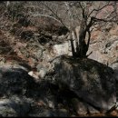 곰골스카이 이미지