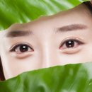 예의원 이미지
