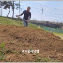 묘지공사닷컴묘지공사.com 네이버블로그