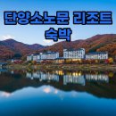 소노문 단양 별관 | 단양 숙소 추천, 감성 가득 단양소노문 리조트 강변 숙박 후기
