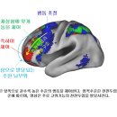 [붓다와 뇌과학]12 수행으로 전전두엽을 계발해 번뇌를 끄면 ‘깨달은 자’ 이미지