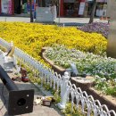 월영광장 이미지