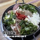 오리지날 전통어죽