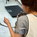 동그리아 이미지