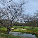 샤인빌파크 컨트리클럽 | 제주 골프, 날씨만 믿고 가면 안 되는 이유 [샤인빌CC]