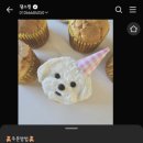 댕스윗