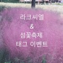 라크씨엘 이미지