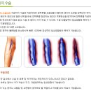 강남연세흉부외과의원 이미지