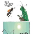 개미와베짱이 - 서귀포시 태위로663번길 1 | 개미와베짱이