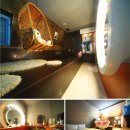 박스도로시 이미지