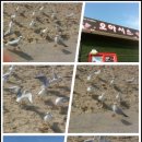 하얀성모텔 이미지