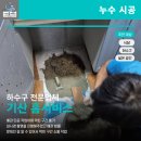 기산미용실 - 수원시 장안구 | 기산미용실