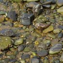 에스앤유서울비뇨의학과의원 이미지