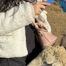 홍천메기매운탕 이미지