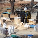 나왔다농장 이미지