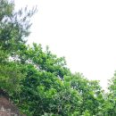 인이네식당 이미지