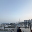 부산요트투어인생요트 | 부산요트투어 요트야 후기｜광안대교 야경부터 불꽃놀이까지, 50분이 순삭!