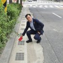 강일중학교 이미지