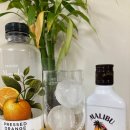 영어뮤지컬아카펠라 | 크러쉬 뜨끈뜨뜬한 새 EP 앨범 : FANG ❤️‍🔥 첫 블로그 후기