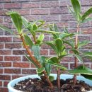 동신지에프 이미지