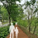 산책로 아시아경제