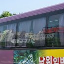 락스테디 크로스핏 이미지