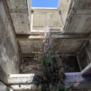[금호 알베르] 프로젝트 THERE BE &#39;Flower Installation&#39; - 낯선 곳에 펼쳐진 아름다움