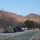 빼빼PC | 노르텐트 걈8 PC 아미그린×카트리퍼 라운지 블랙(화목난로 텐트×차박 텐트) 동계캠핑 2박에 장작 60kg