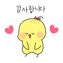 냥냥살롱 이미지