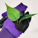 프렌드농장 이미지