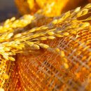 손해평가사 2차 이미지