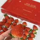 삼성미래여성병원 이미지