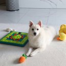 뚜루칡냉면 | 행복과 설렘의 8월 하반기 마무리 일상🫧