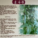 부영옻닭 이미지