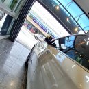 키다리광택 이미지