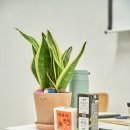 작가의 집 | [상캠여관] 1129호 한수희 작가의 방 후기