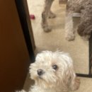 경기도 수원시 영통구 신원로198번길 이미지