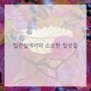 푸른하늘한의원 네이버블로그