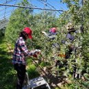 장수읍사무소 이미지