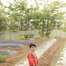 동욱농장 이미지