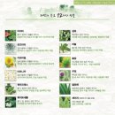 천연헤어염색 네이버블로그