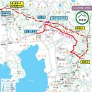 [2026년 3월29일 일요산행] - 진해 장복산(582m),웅산(710m),시루봉(653m), 드림로드 벚꽃산행 이미지