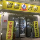 팔팔장어 이미지