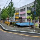 대구상원초등학교 이미지