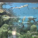 어촌민속박물관 | 대부도 아이랑 갈만한곳 안산 어촌민속박물관