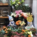 강릉포레스트 이미지