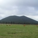 늘보목장 이미지