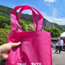 하동야생차박물관 | 하동 야생차문화축제 후기