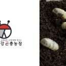 좋은소 농장 이미지