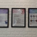 대구애견 이미지